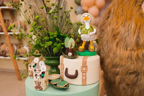 fotografia fotógrafo infantil taubate corujice festa infantil'