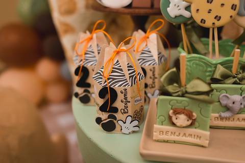 fotografia fotógrafo infantil taubate corujice festa infantil'