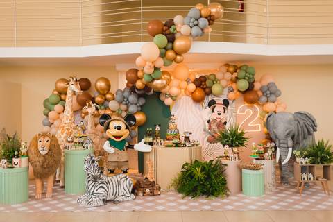 fotografia fotógrafo infantil taubate corujice festa infantil'