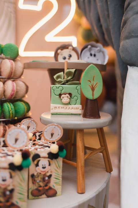 fotografia fotógrafo infantil taubate corujice festa infantil'