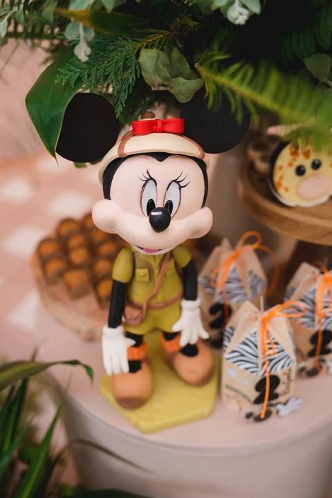 fotografia fotógrafo infantil taubate corujice festa infantil'