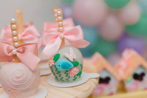 fotografia fotógrafo infantil taubate corujice festa infantil'