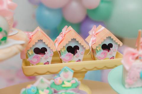 fotografia fotógrafo infantil taubate corujice festa infantil'