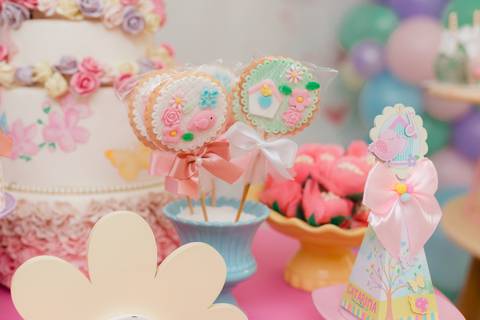 fotografia fotógrafo infantil taubate corujice festa infantil'