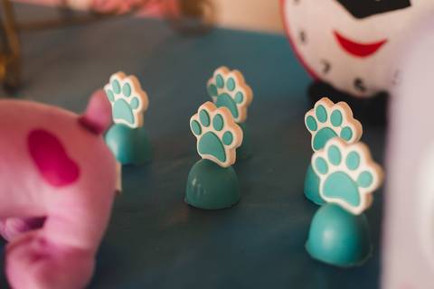 fotografia fotógrafo infantil taubate corujice festa infantil'