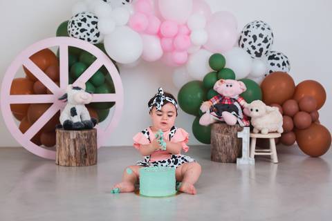 fotografia infantil taubaté smash the cake bolo aniversário festa criança fotógrafo estúdio'
