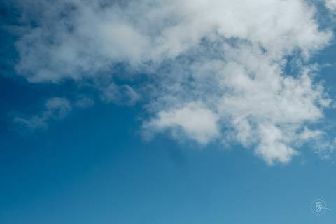 Fotografia de parto na maternidade Ilha em Florianópolis, cesárea, registros por Thiago Braga fotografia'
