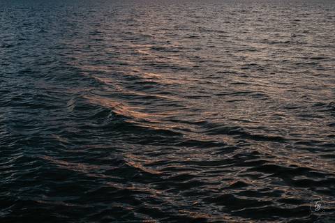 fotografia de noivado na ponta dos Ganchos Resort, em Governador Celso Ramos'
