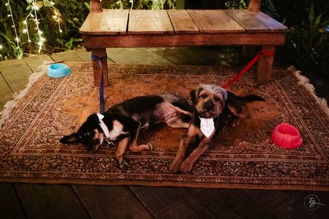 casamento simples, elegante e lindo, no moçamba eventos, em redor das montanhas e da lagoa da conceição em '