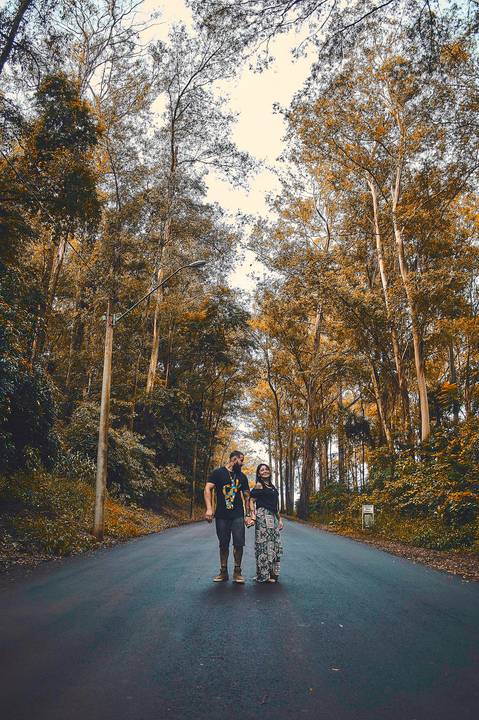 Ensaio pré wedding casal andando entre árvores em bosque Botucatu - SP'