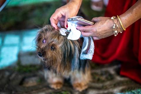 fotografo fortaleza casamento pet'
