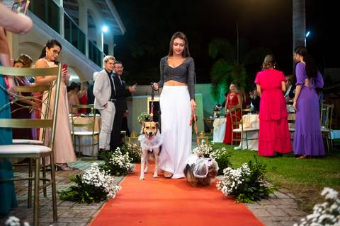 fotografo fortaleza casamento pet'