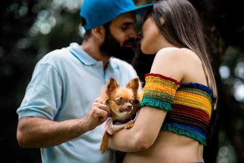 Ensaio gestante pet fortaleza'