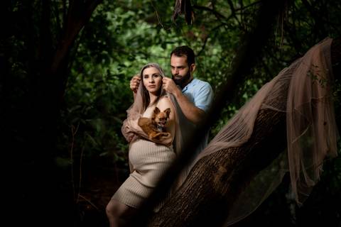 Gestante pet fortaleza'