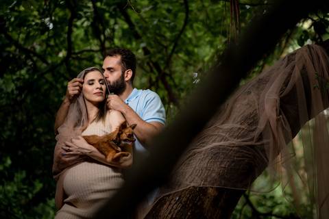 Gestante cachorro fortaleza'