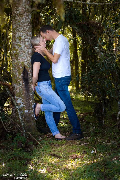 Ensaio Pre Wedding em Cambará do Sul, casal na árvore'