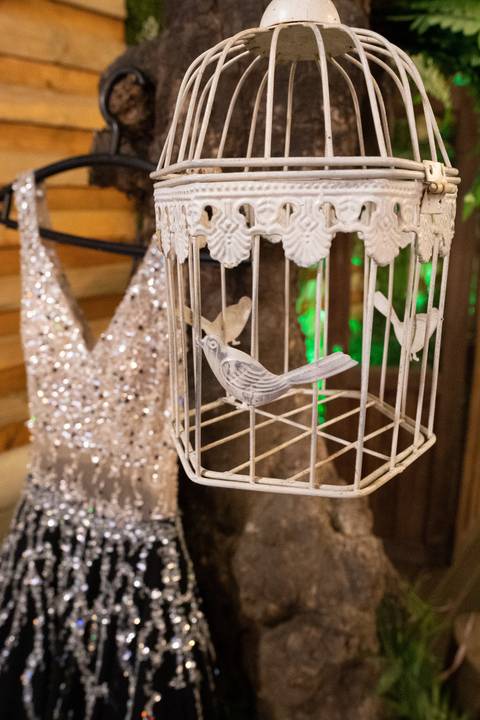 Fotografia Debutante
Tabasco Produções'