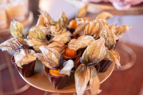 Fotografia de Casamento
Capela Santo Cristo dos Milagres
Hotel Windsor
Filmagem de casamento
Tabasco Produções'