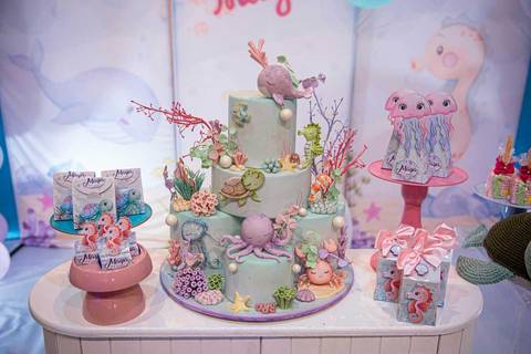 1 Ano da Maya
Tabasco Produções
Brincadeira é Coisa Séria
Fotografia de Festa Infantil'