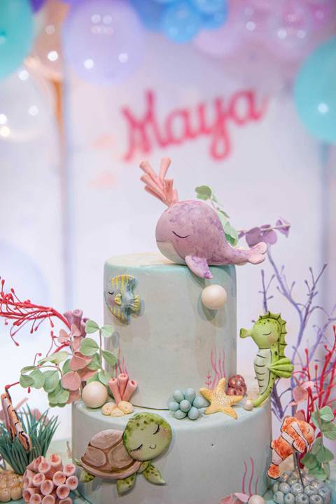 1 Ano da Maya
Tabasco Produções
Brincadeira é Coisa Séria
Fotografia de Festa Infantil'