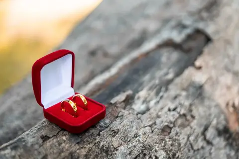 Aliança de Casamento'