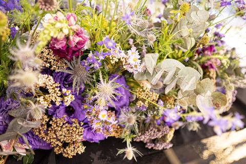 Balrrom Versality
Fotografia de 15 Anos
Tabasco Produções'