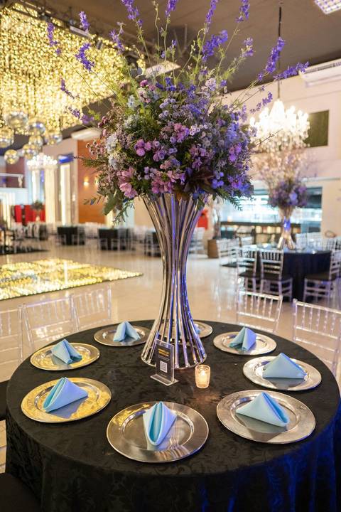 Balrrom Versality
Fotografia de 15 Anos
Tabasco Produções'