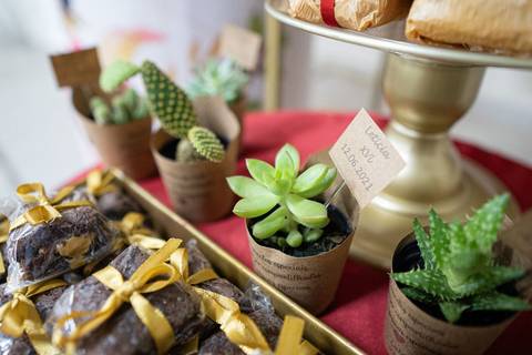 Fotografia de 16 Anos
Tabasco Produções'