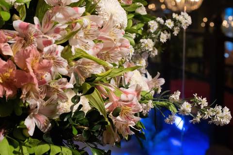 Fotografia de Casamento
Portal das Águas
Tabasco Produções'