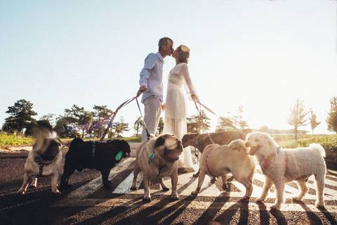 casal beijando por do sol pet family cachorros '