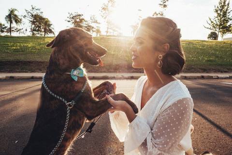 noiva segurando patas cachorro pet'