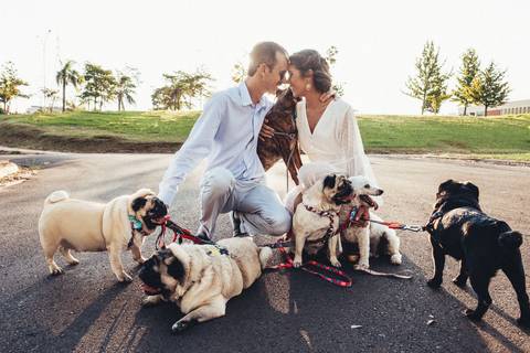 casal beijando por do sol pet family cachorros '
