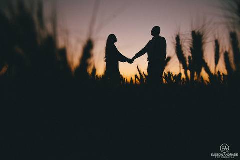 Ensaio pré-wedding em maringá, fotos no campo de trigo no por do sol'