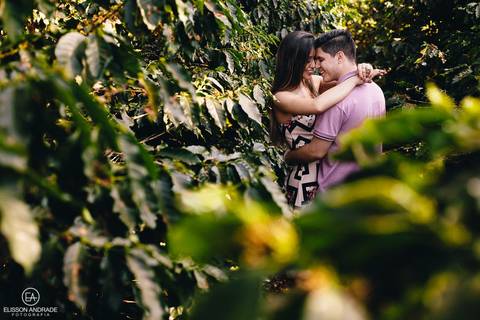 Ensaio pré-wedding externo, no campo, no cafezal, em Maringá, Sarandi, noivos abraçados'