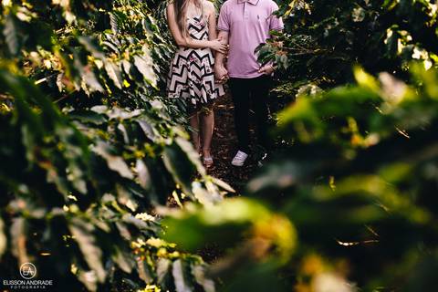 Ensaio pré-wedding externo, no campo, no cafezal, em Maringá, Sarandi, noivos de mãos dadas, sem cabeça'