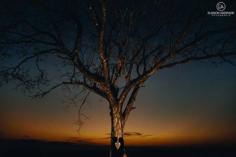 Ensaio pré-wedding externo, no campo de trigo, em Maringá, Sarandi, ensaio pré-wedding no trigo, foto dos noivos juntos no por do sol, formando um coração'