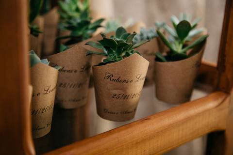 fotos de bodas de ouro, lembrancinhas, suculentas'