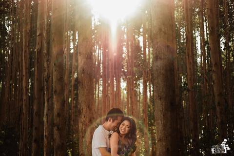 Ensaio pré-wedding no campo, na floresta de eucaliptos'