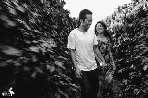 Ensaio pré-wedding no campo, na floresta de eucaliptos'