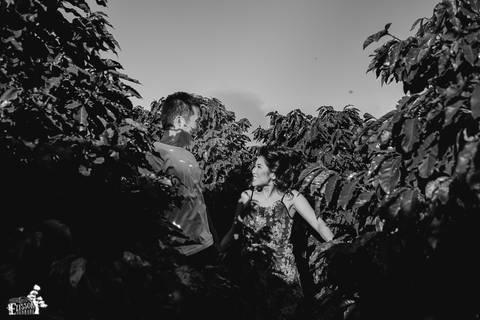 Ensaio pré-wedding no campo, na floresta de eucaliptos'