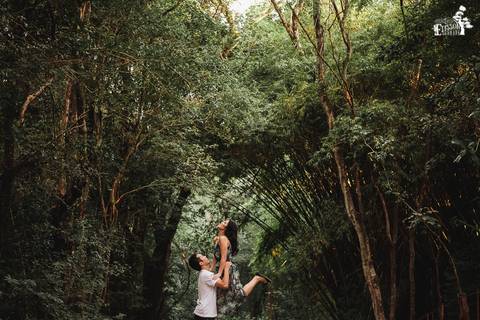 Ensaio pré-wedding no campo, na floresta de eucaliptos'