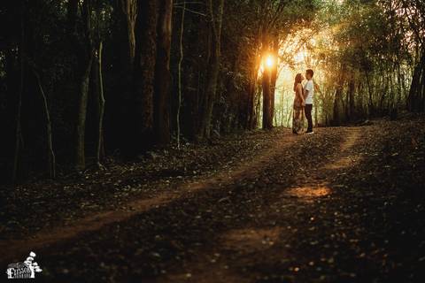 Ensaio pré-wedding no campo, na floresta de eucaliptos'