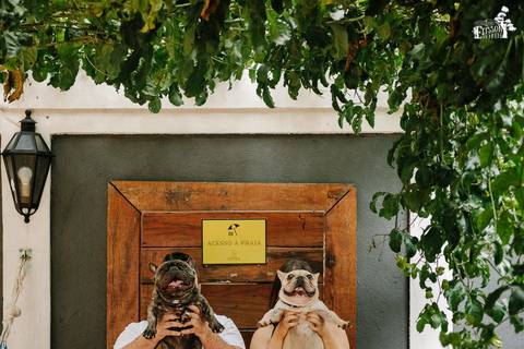 Ensaio fotográfico pré-wedding de casal com cachorros no Donna Ninpha, em Maringá/PR'