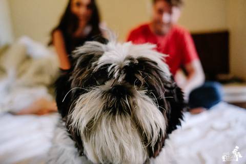 ensaio de casal com cachorro de estimação pet'