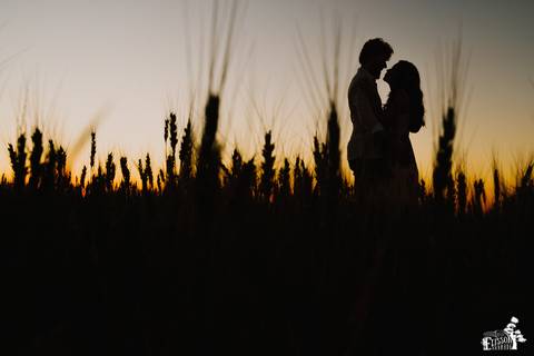 foto  criativa e sentimental de casal em campo de trigo em Maringá/PR durante ensaio pré-casamento, pré-wedding'