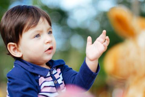 Fotografia de Ensaio Infantil -Parque Botânico da Vale - Vitória-ES'