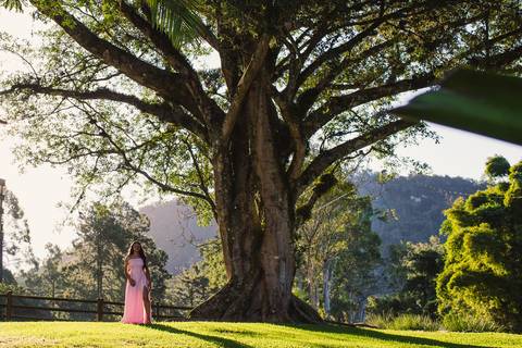 Ensaio de 15 anos na chácara das figueiras, menina com vestido rosa'