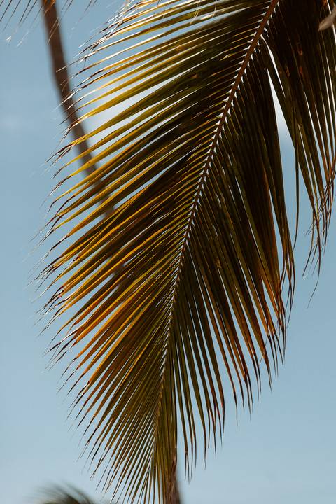 '