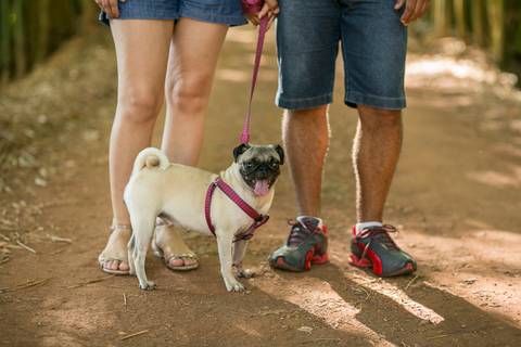 fotografo casamento porto velho'