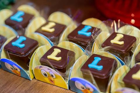 buffet alpha kids aniversario infanil cuiaba fotografo fotografia promoção pacote brindes google'